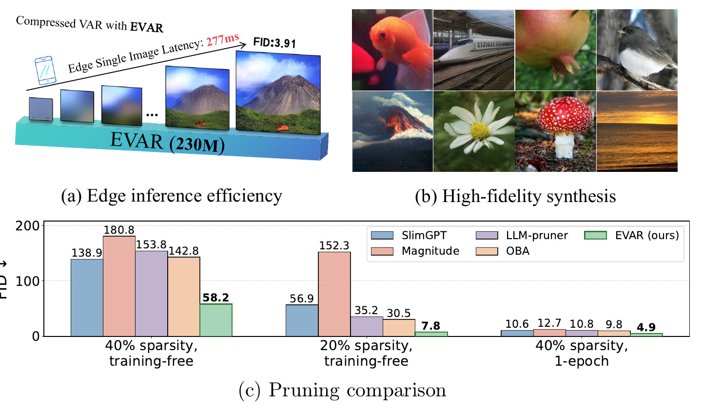 EVAR edge deployment, generation samples, and pruning comparison from Figure 1 of the paper